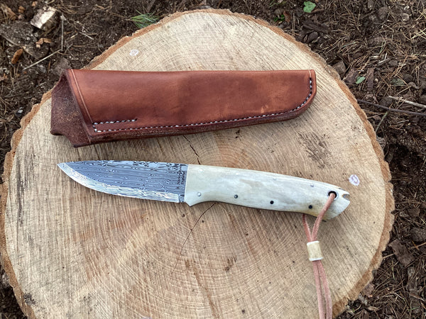 Bifrost Damasteel and Antler Journeyman Knife