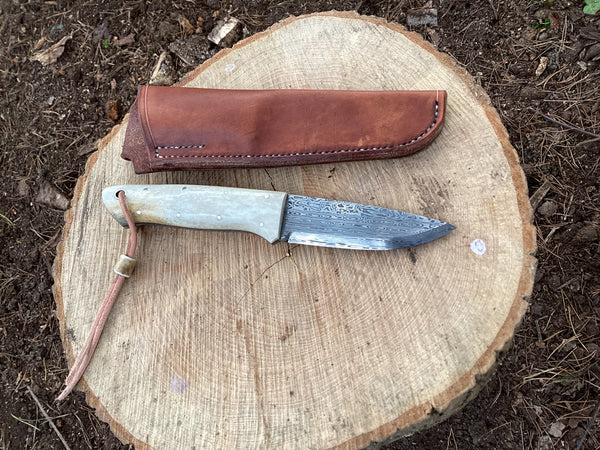 Bifrost Damasteel and Antler Journeyman Knife