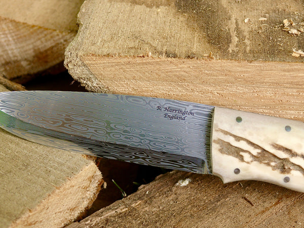 Bifrost Damasteel Woodie Knife