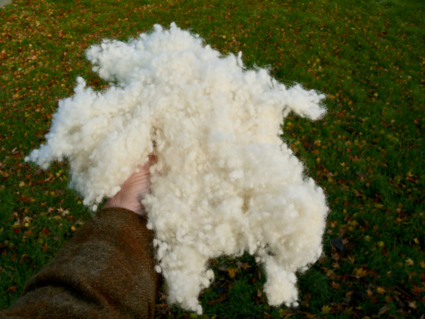 Swagman Pillow 100% wool fleece stuffing